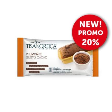 Plumcake gusto Cacao Tisanoreica (50g)