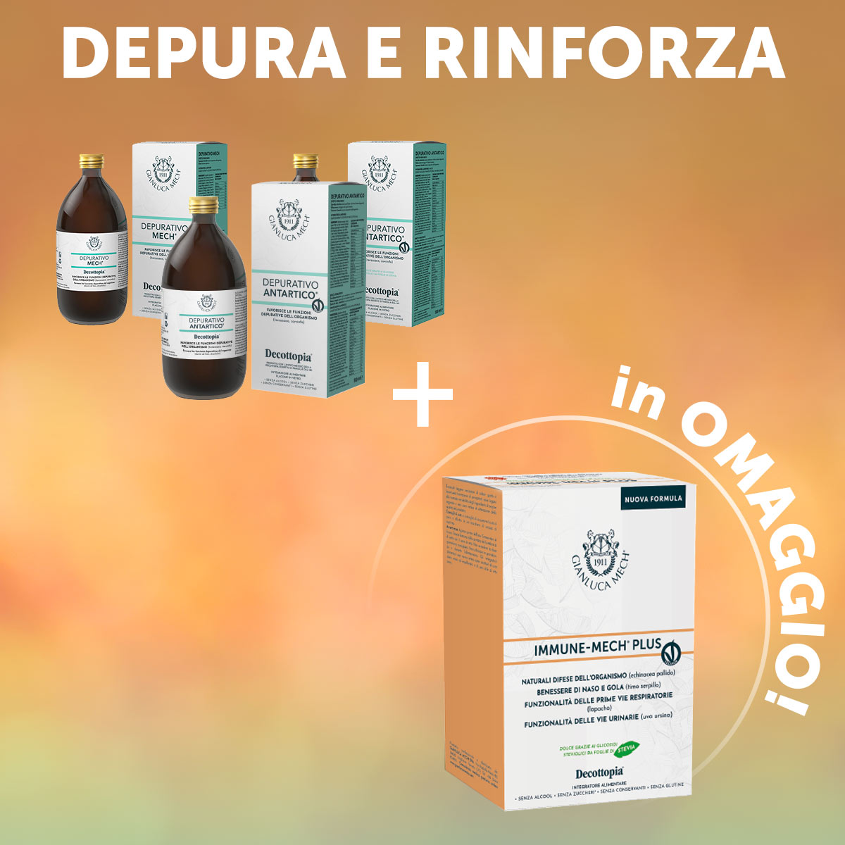 Depura e Rinforza